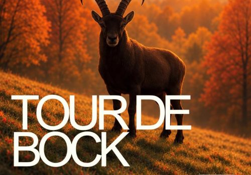 Tour de bock